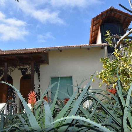 Apartmán Casa Dei Limoni Massa Lubrense Exteriér fotografie