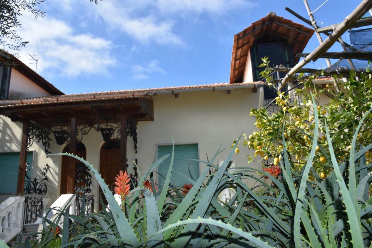 Apartmán Casa Dei Limoni Massa Lubrense Exteriér fotografie