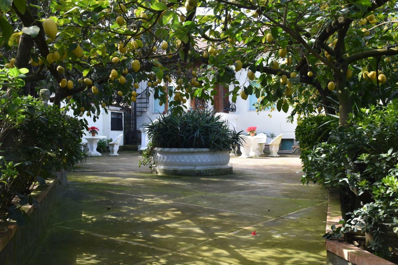 Apartmán Casa Dei Limoni Massa Lubrense Exteriér fotografie