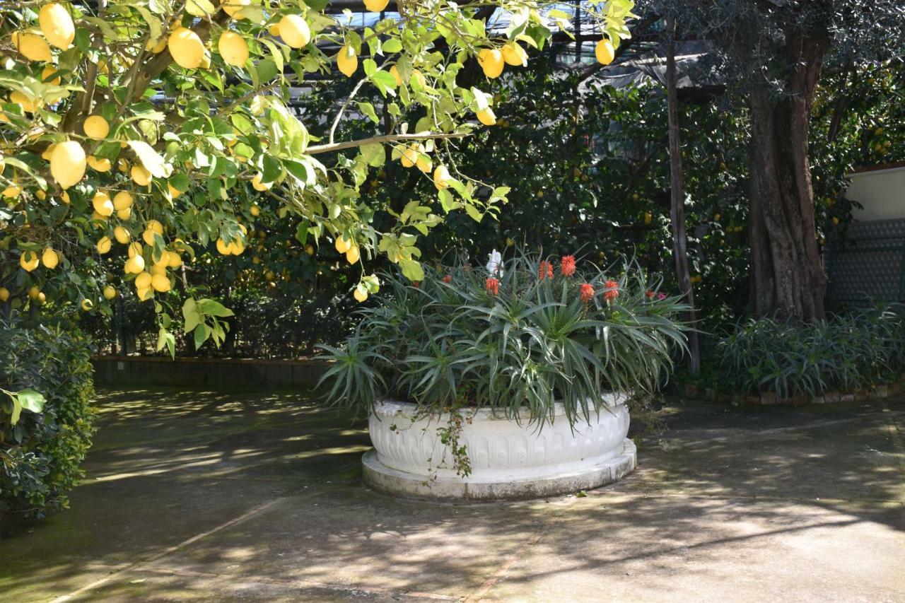 Apartmán Casa Dei Limoni Massa Lubrense Exteriér fotografie